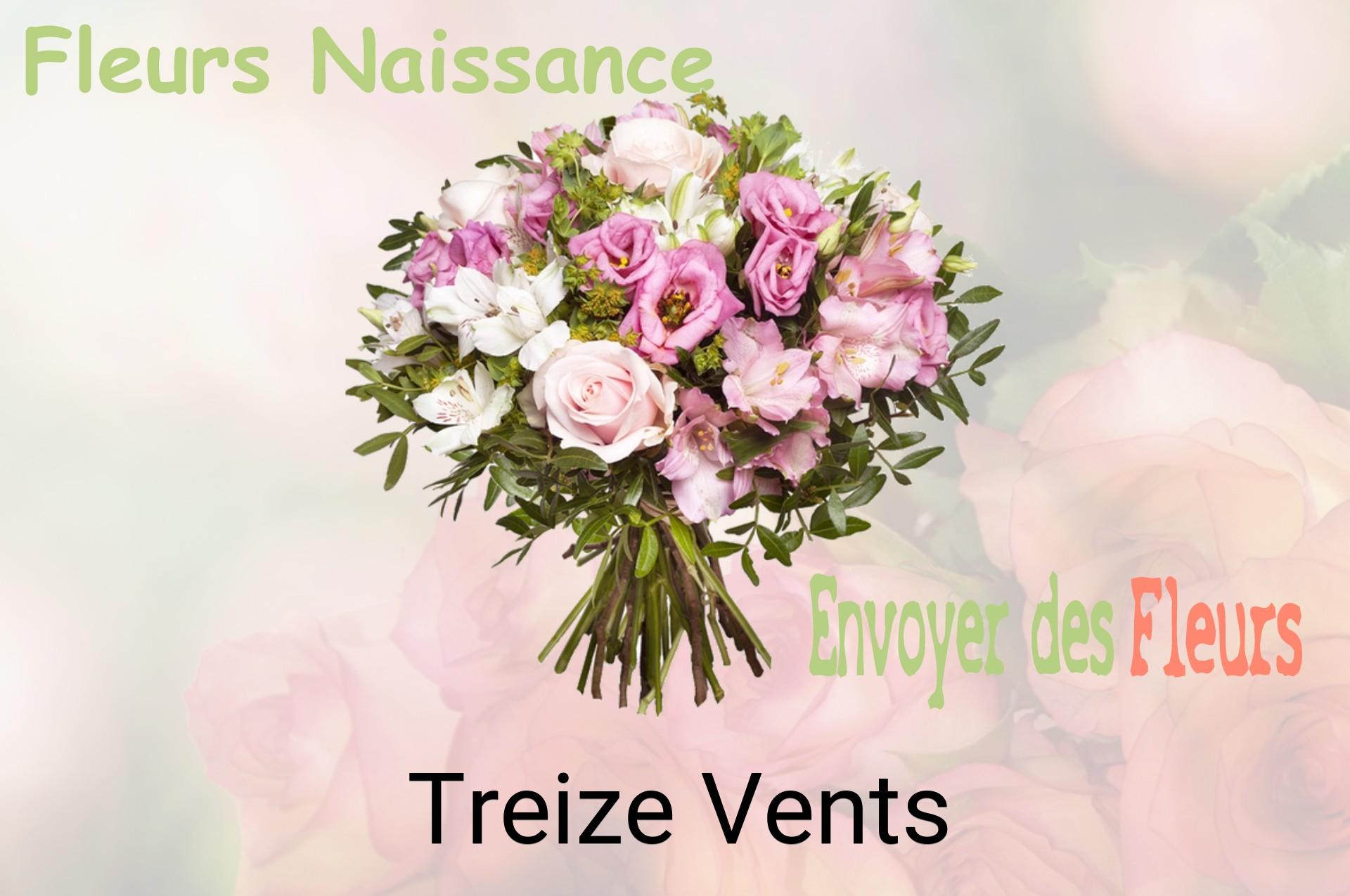 Bouquet de fleurs de naissance livré à Treize-Vents