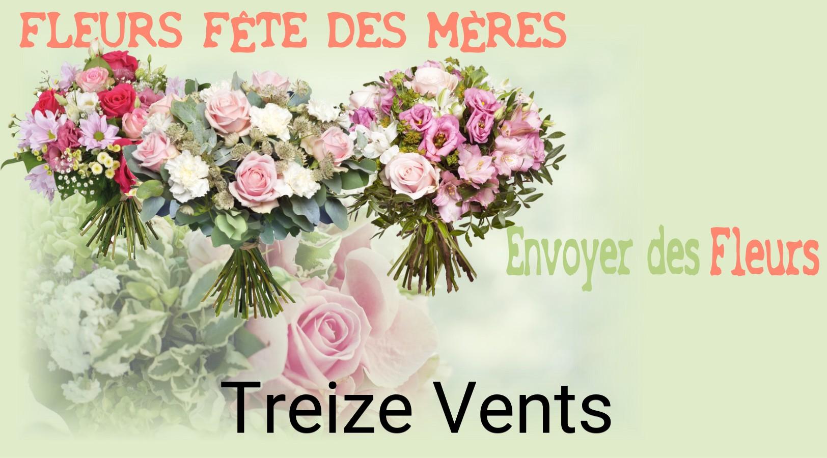 Bouquet de Fête des Mères livré à Treize-Vents